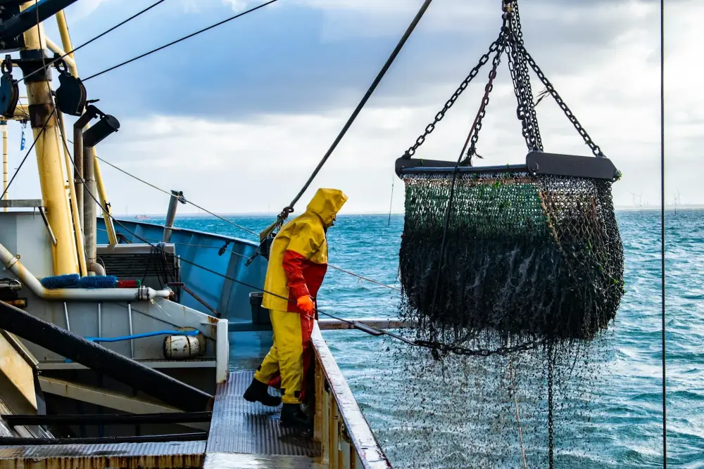 équipement chasse & pêche à Fléac